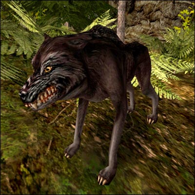 cernyvlk