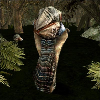 zralok